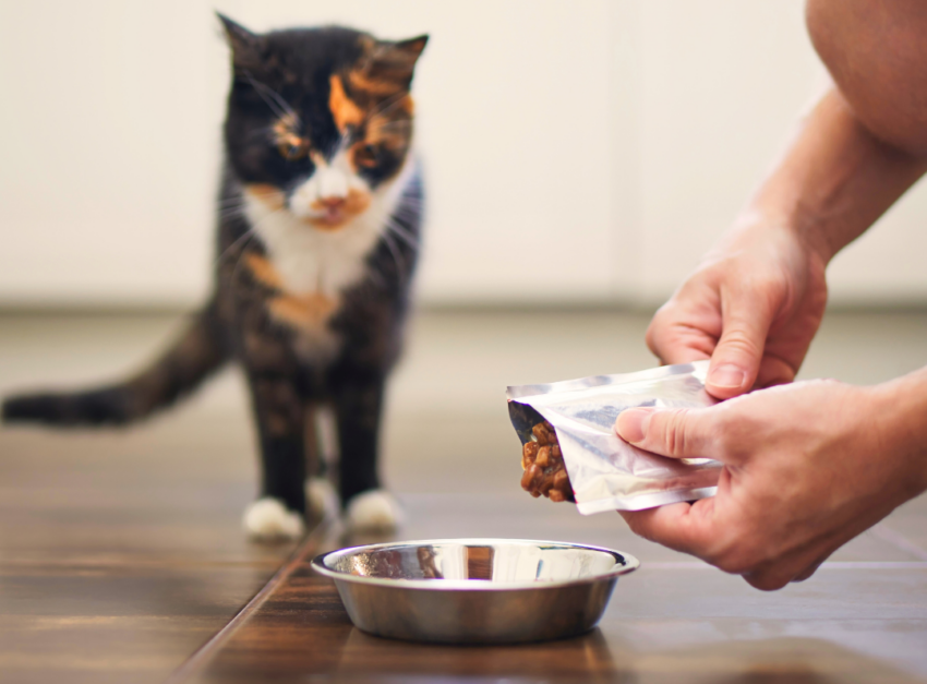 Person opening cat food package with a cat nearby on the floor.